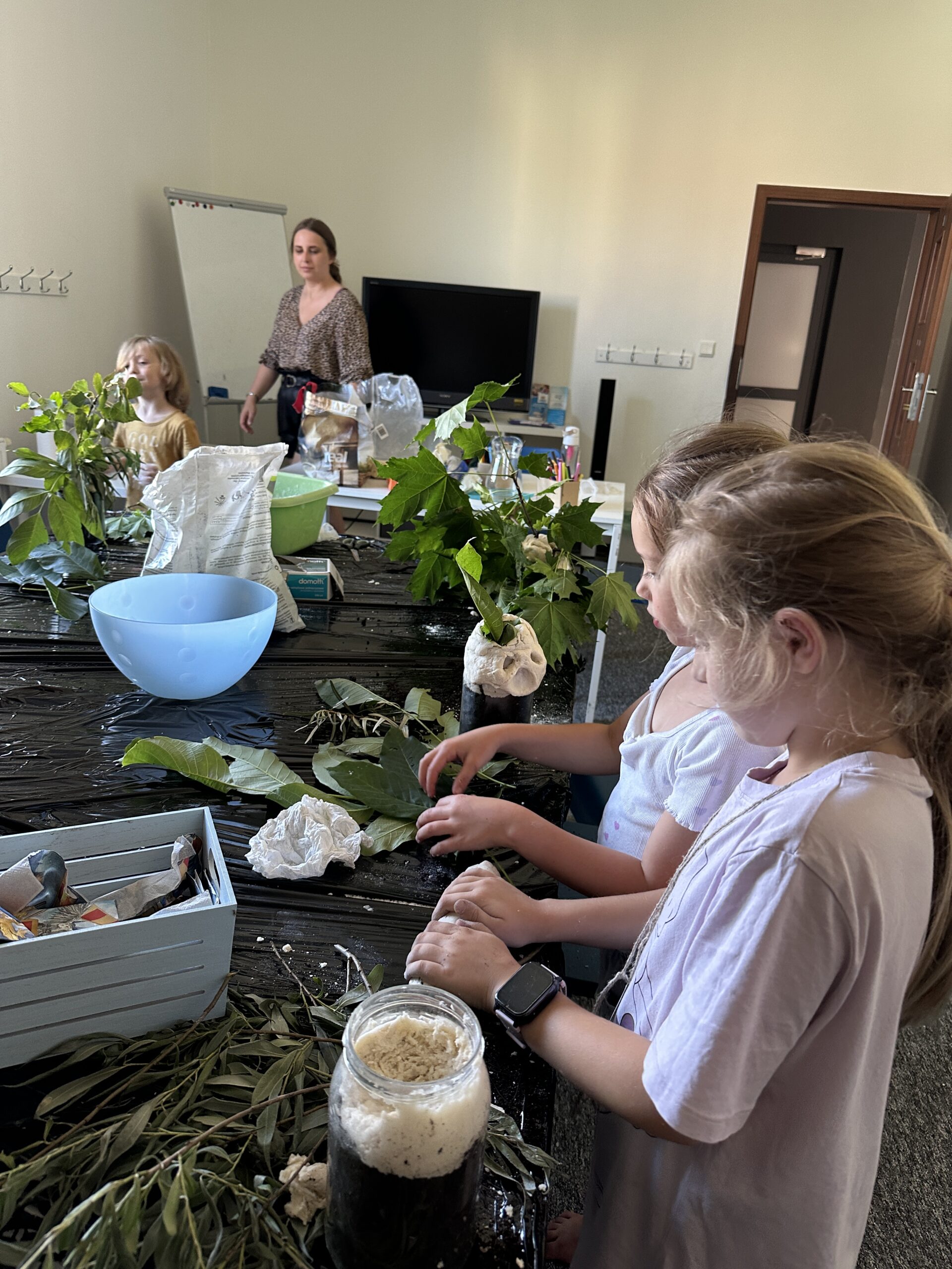 Lekcja zielarstwa — mandragory